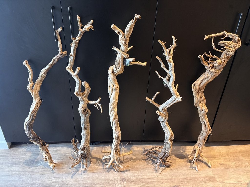 Repto Dragontree 90-105cm Nieuw!, Dieren en Toebehoren, Ophalen of Verzenden, Nieuw, Tak, Plant, Rots of Steen