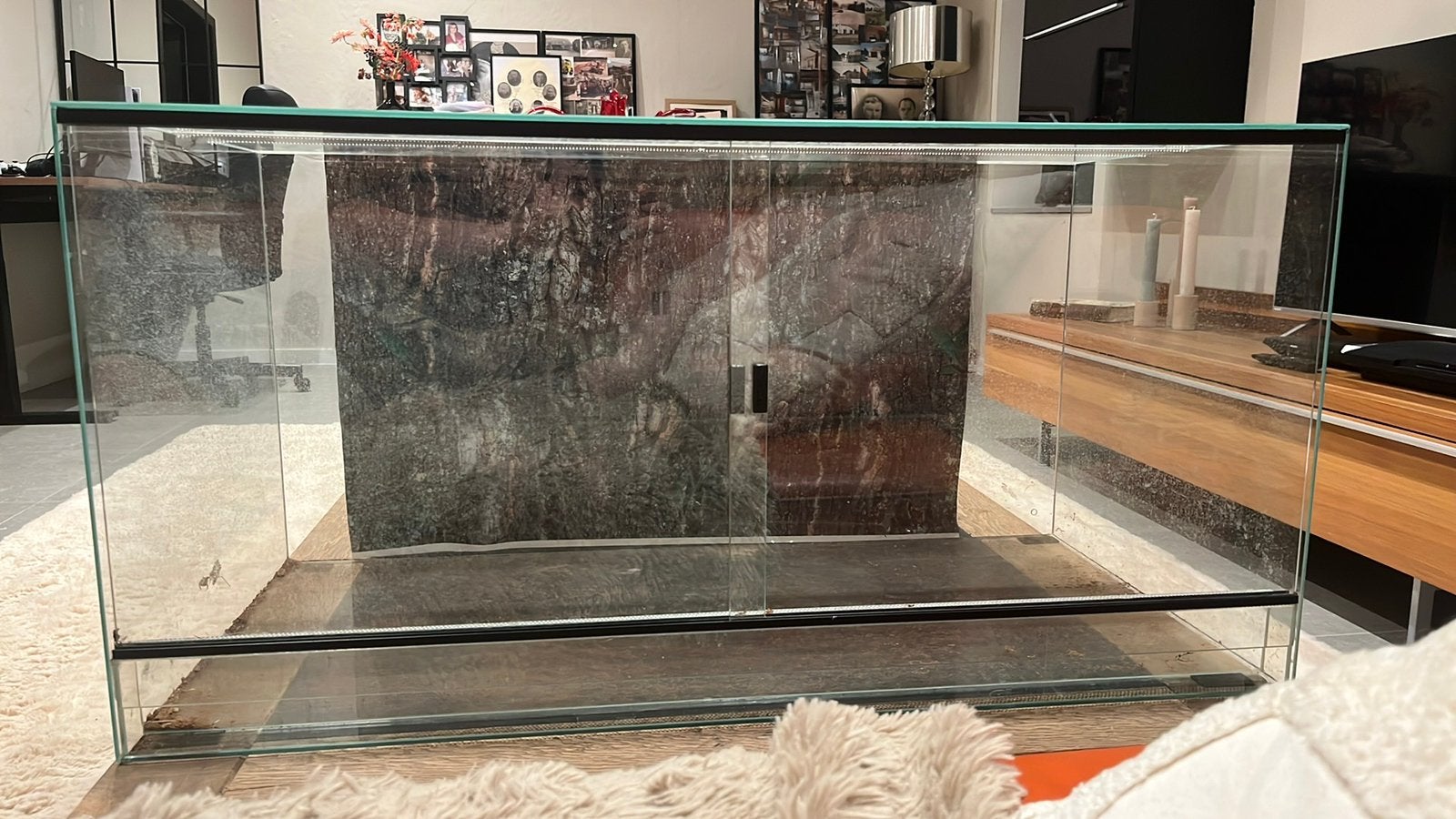 Terrarium, Dieren en Toebehoren, Ophalen, Gebruikt, Terrarium of Paludarium