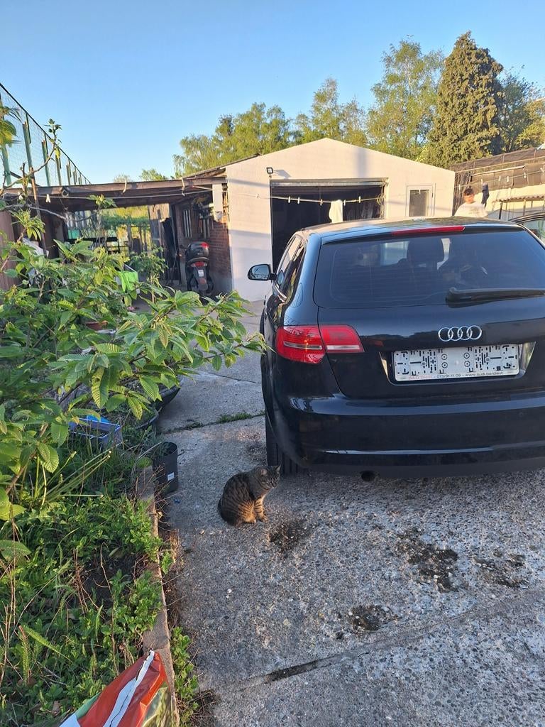 Audi A 3 van 2010 -3100 Euro, Ophalen of Verzenden, Audi