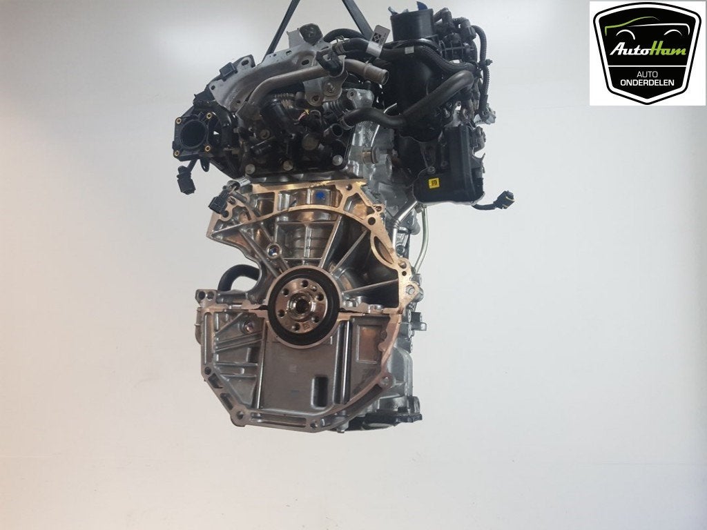 MOTEUR Dacia Sandero III (01-2019/-) (|8201733029|), Dacia, Dhr. J. Ham, Administratie@autoham.nl, Utilisé
