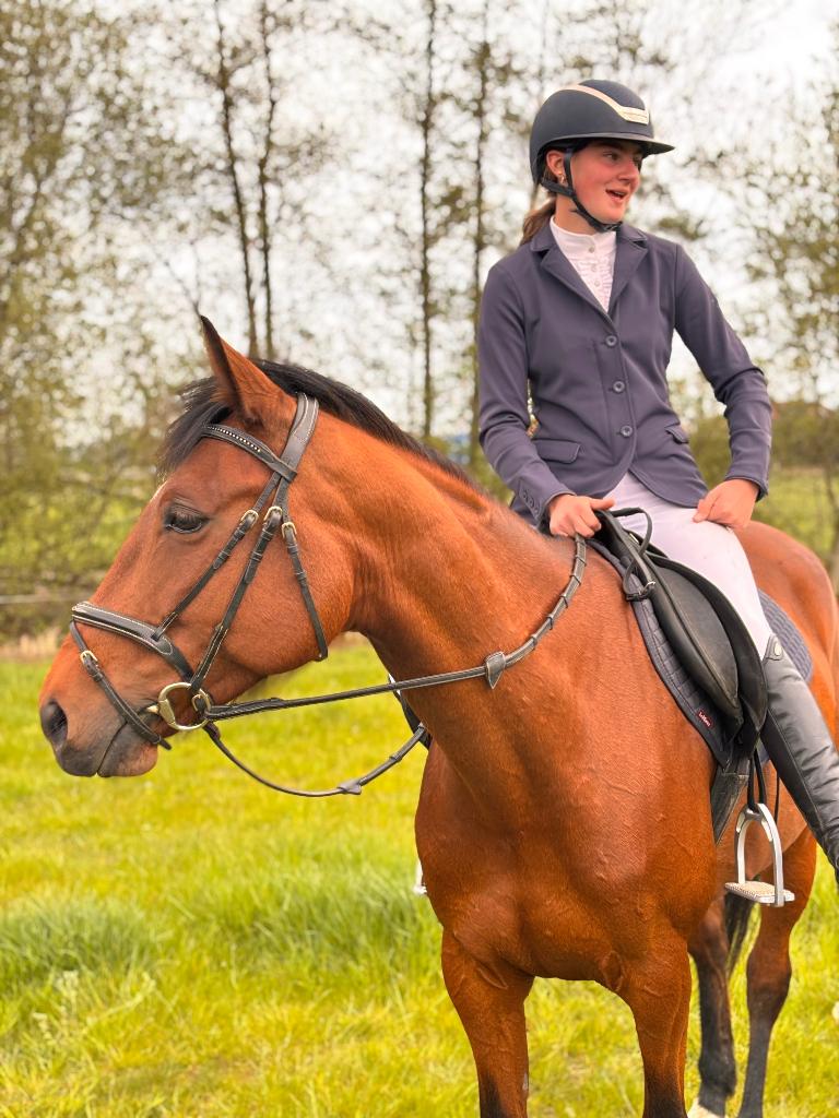 8 jarige merrie, Dieren en Toebehoren, Paarden, Merrie, B, Minder dan 160 cm, 7 tot 10 jaar, Springpaard, Gechipt, Ontwormd, Ingeënt