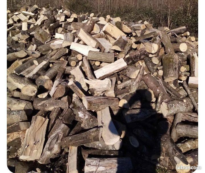 brandhout, Doe-het-zelf en Bouw, Hout en Planken, Verzenden, Nieuw, Beuken, Overige typen