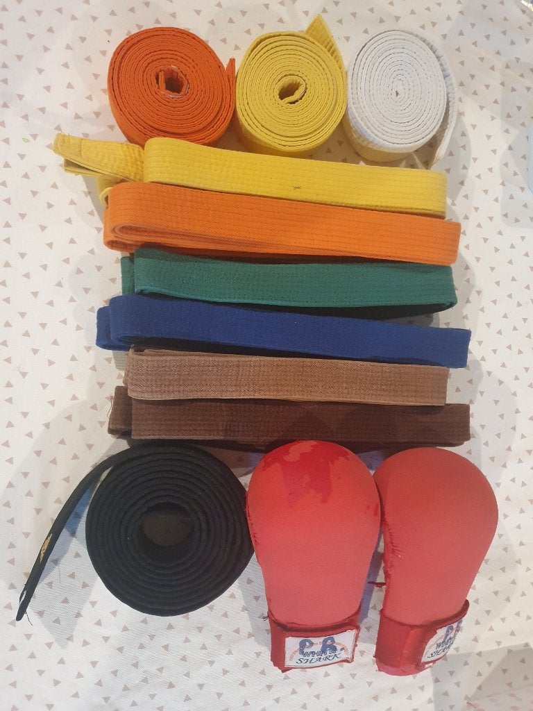 shureido shihon karate kimono met toebehoren, Costume d'arts martiaux, Comme neuf, Enlèvement, Taille L