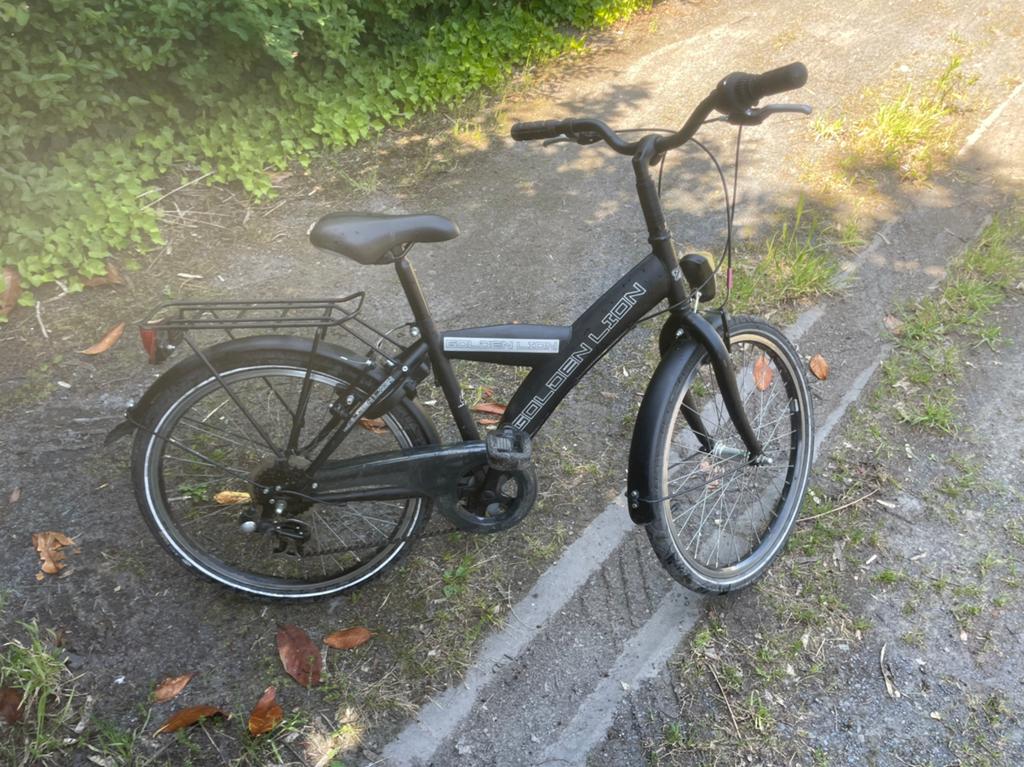 Jongen fiets lion, Fietsen en Brommers, Fietsen | Kinderfietsjes, Ophalen