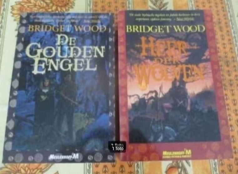 2 Mooie Fantasy Boeken van Bridget Wood, Ophalen of Verzenden, Zo goed als nieuw