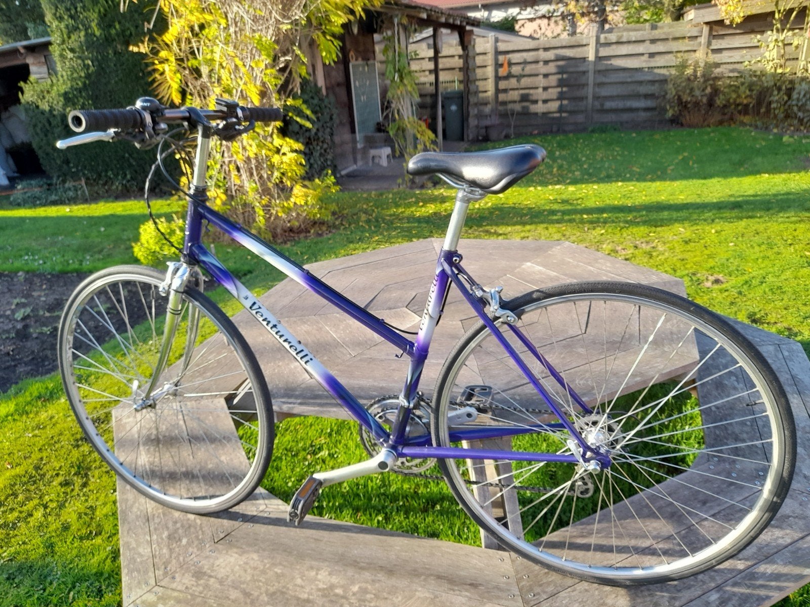 sport fiets voor dams, Enlèvement, 10 à 15 vitesses