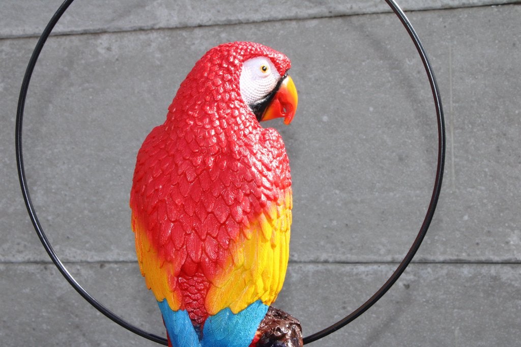 perroquet dans un cercle a suspendre 3 couleurs., Enlèvement, Neuf, Synthétique, Animal