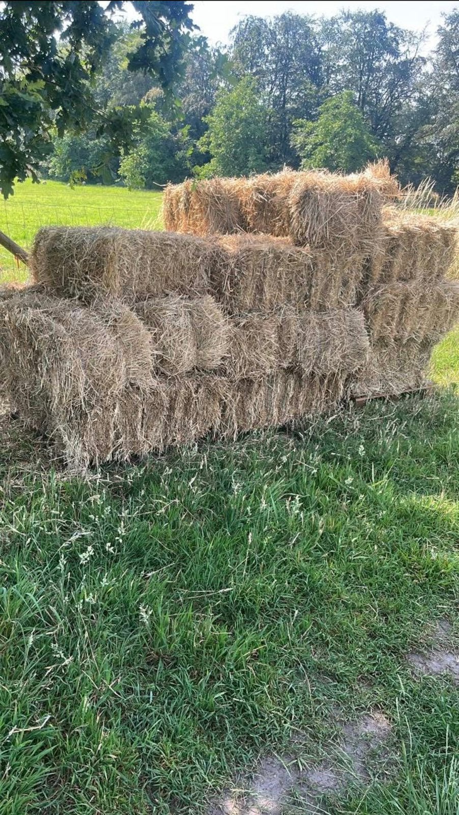 Hooi te koop, Dieren en Toebehoren, Dierenvoeding, Ophalen, Vee