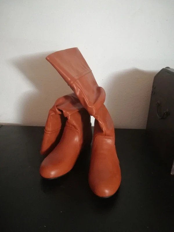 Hoge laarzen, Enlèvement ou Envoi, Comme neuf, Brun, Bottes hautes
