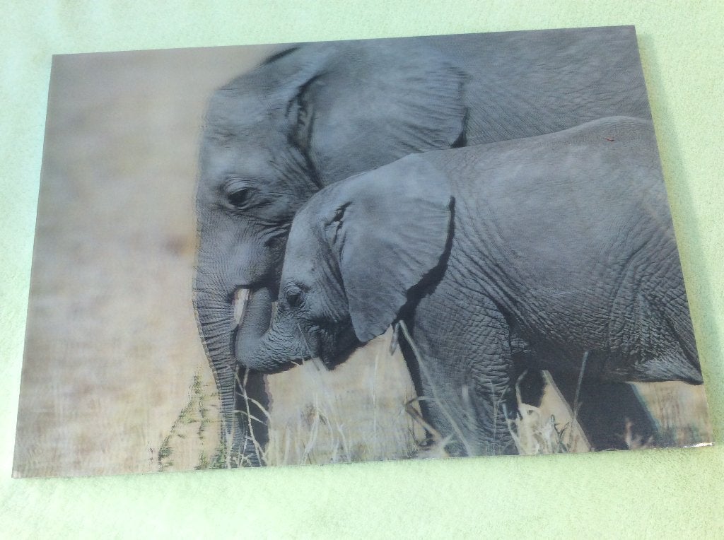 3 D FOTO KADER OLIFANT ZO GOED ALS NIEUW, Enlèvement ou Envoi, Comme neuf, Photo ou Poster, Moins de 50 cm