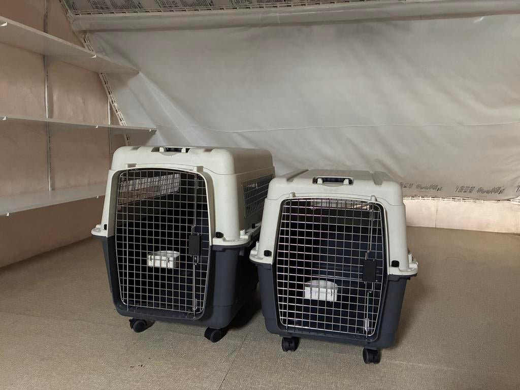 Transportboxen voor honden (ook apart te koop), Enlèvement, Comme neuf