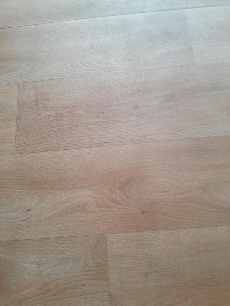 Vloer, linoleum,, Ophalen