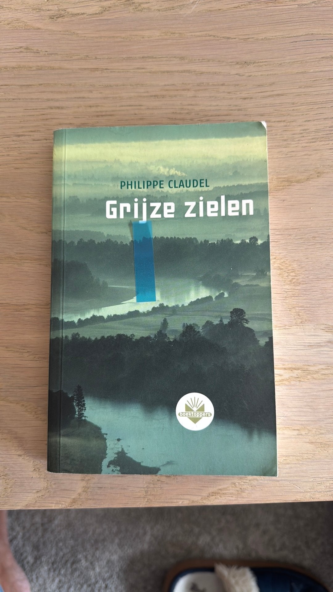 Grijze zielen  Philippe Claudel, Boeken, Ophalen of Verzenden, Gelezen