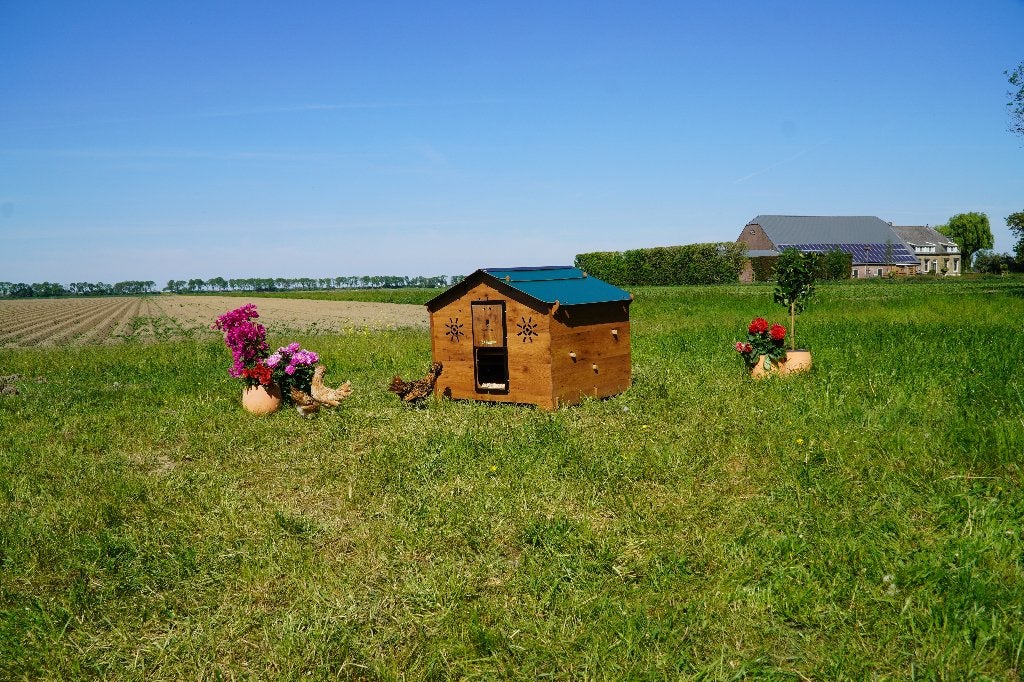 Trespa Kippenhok Cucciolotta | Chalet 2XL, Dieren en Toebehoren, Pluimvee | Toebehoren, Ophalen of Verzenden