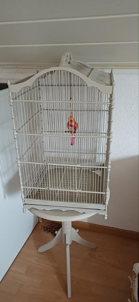 Antieke houten vogelkooi, Antiek en Kunst, Ophalen