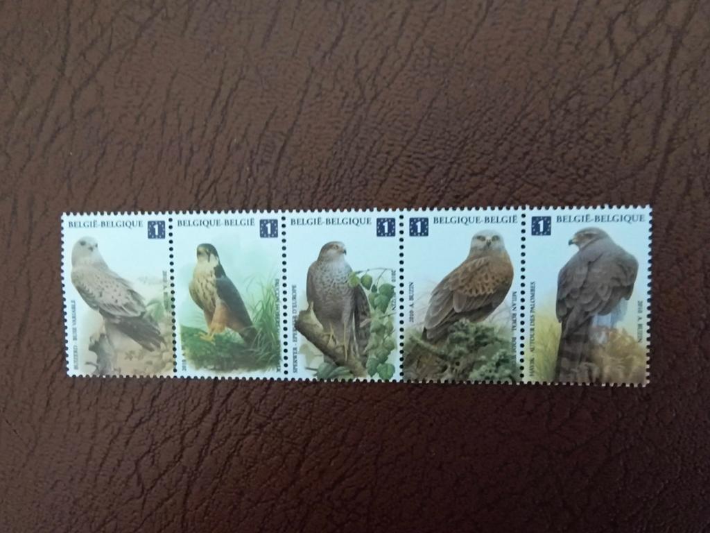 5 x Vogels van Buzin (Europa), Verzenden, Europa