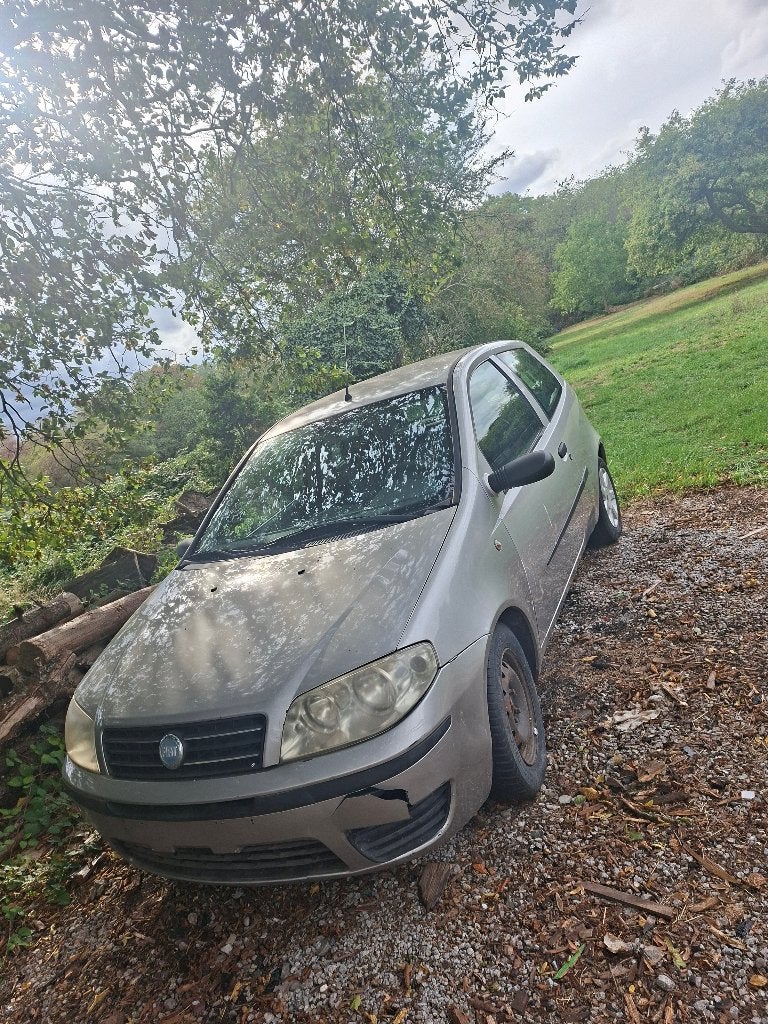 Fiat Punto, Auto's, Fiat, Stof, 4 cilinders, Particulier, Euro 4