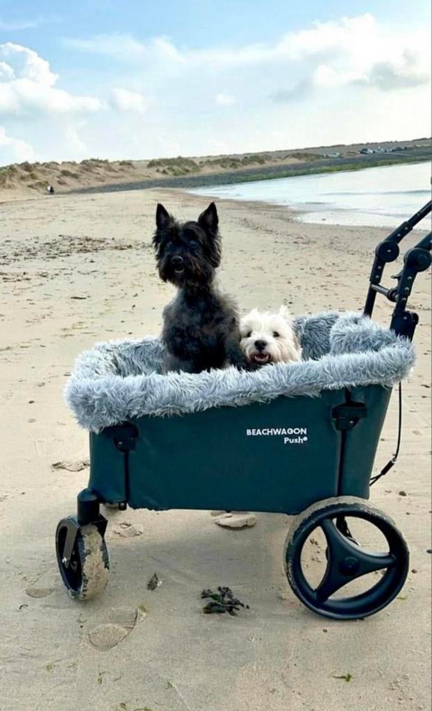 Beachwagon PUSH, Ophalen, Zo goed als nieuw