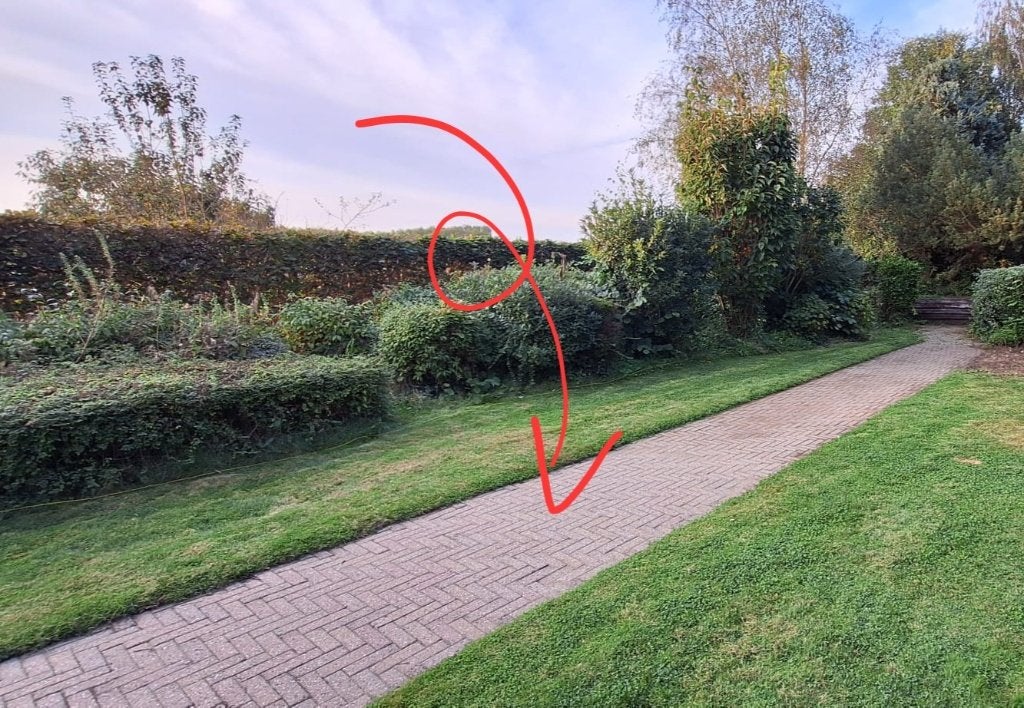 Klinkers -GRATIS, Tuin en Terras, Ophalen, Gebruikt, Klinkers, 10 m² of meer
