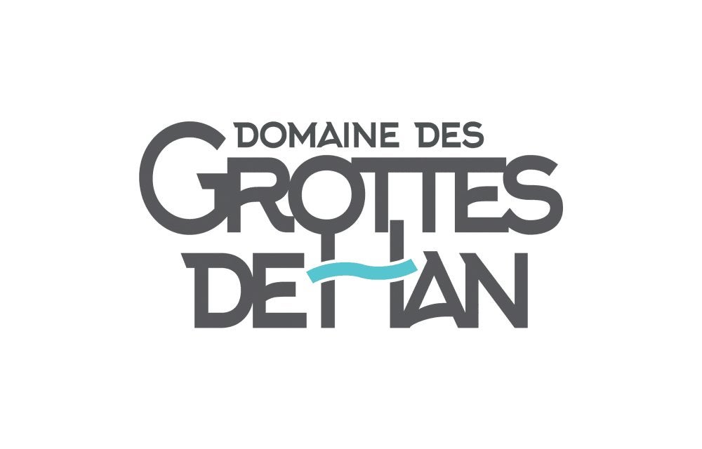 2 billets Grottes de Han à vendre, Tickets en Kaartjes