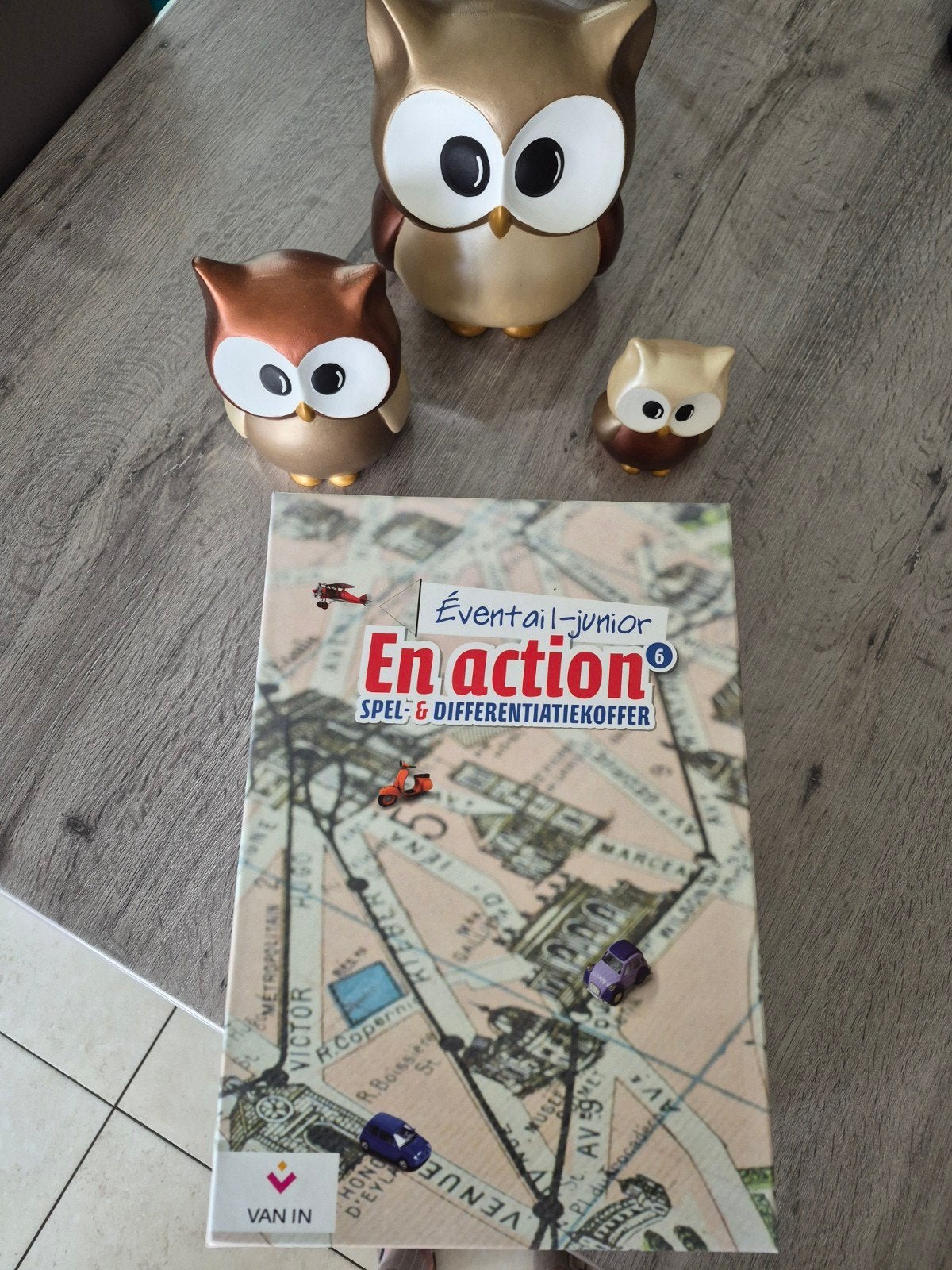 En action spel-en differentiatiekoffer Frans 6e leerjaar, Boeken, Ophalen of Verzenden, Frans