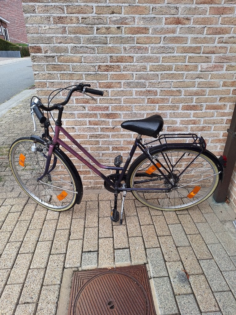 Damesfiets Thompson met versnellingen, Fietsen en Brommers, Ophalen, Versnellingen