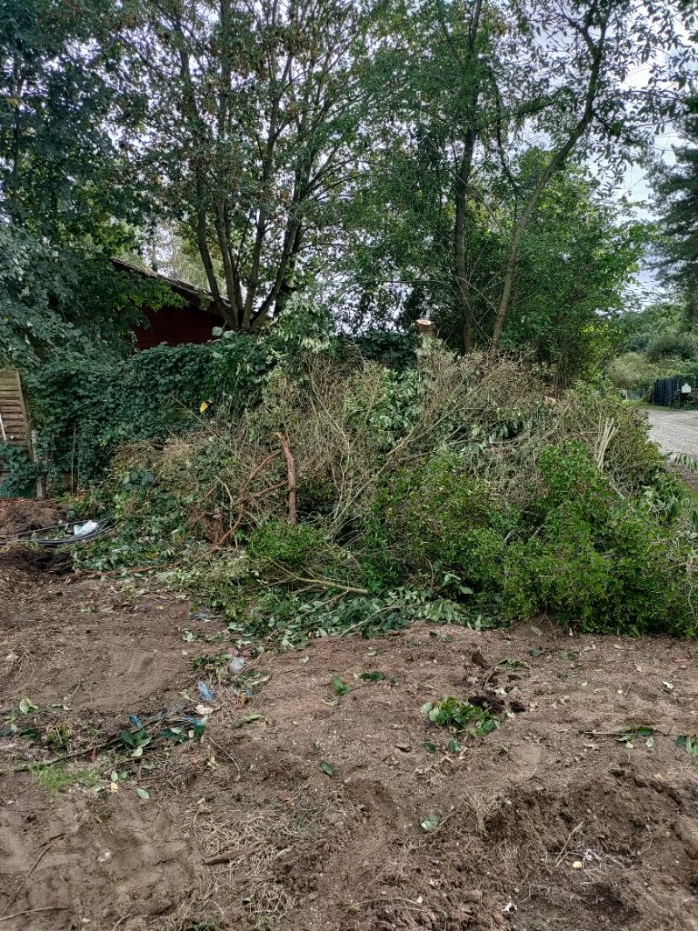 Gratis snoeihout, Tuin en Terras, Ophalen