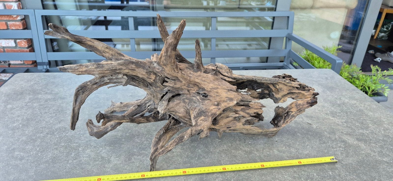 Aquarium hout/ kienhout, Ophalen