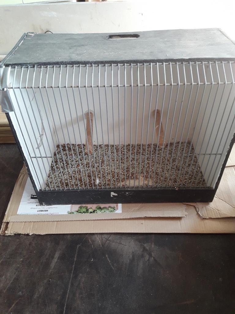 Tentoonstellingskooi, Dieren en Toebehoren, Ophalen