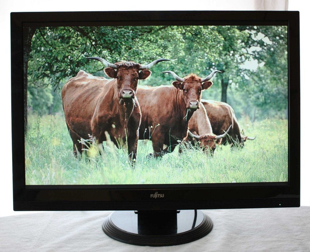 PC scherm, monitor Fujitsu SL3260W LCD Display., Ophalen, Gebruikt, Kantelbaar, HDMI