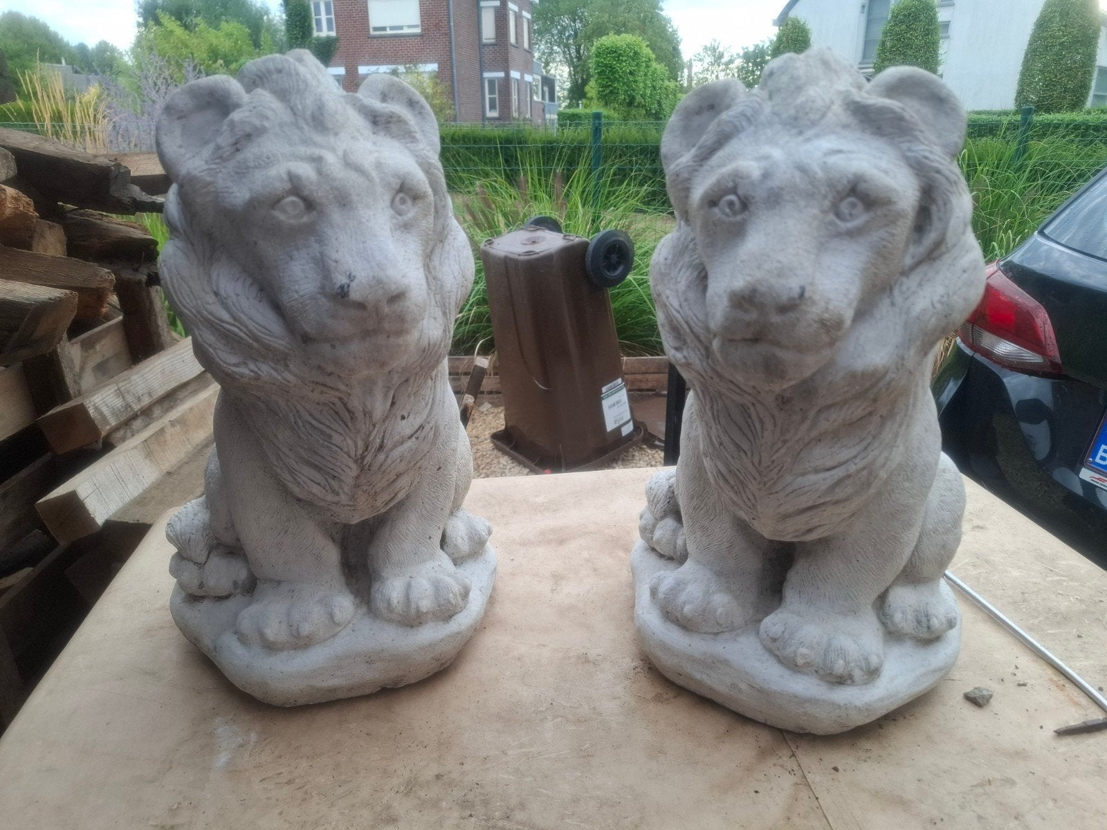 Stenen leeuwen, Tuin en Terras, Ophalen
