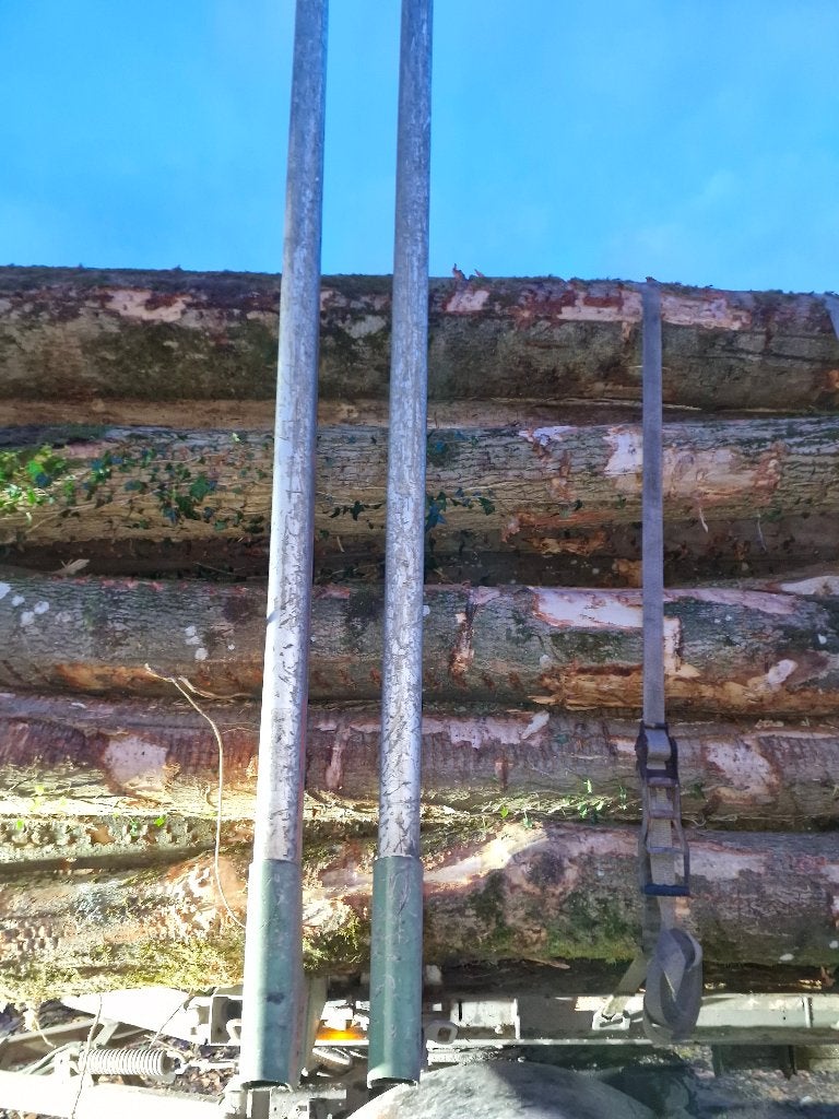bois de chauffage, Envoi, Hêtre, Troncs d'arbres