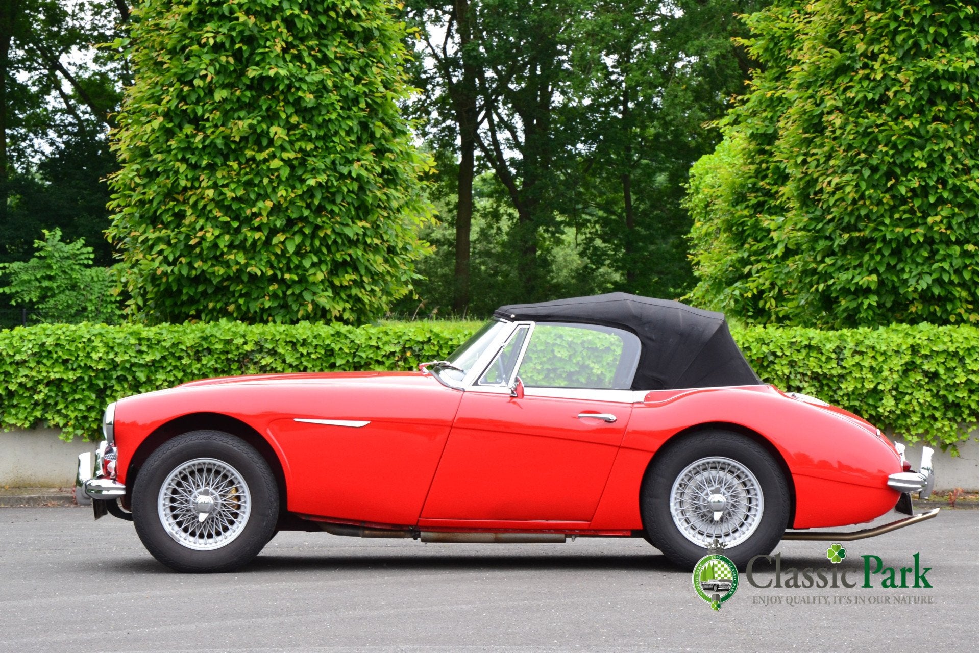 Austin Healey 3000 MK II A (bj 1962), foto 9
