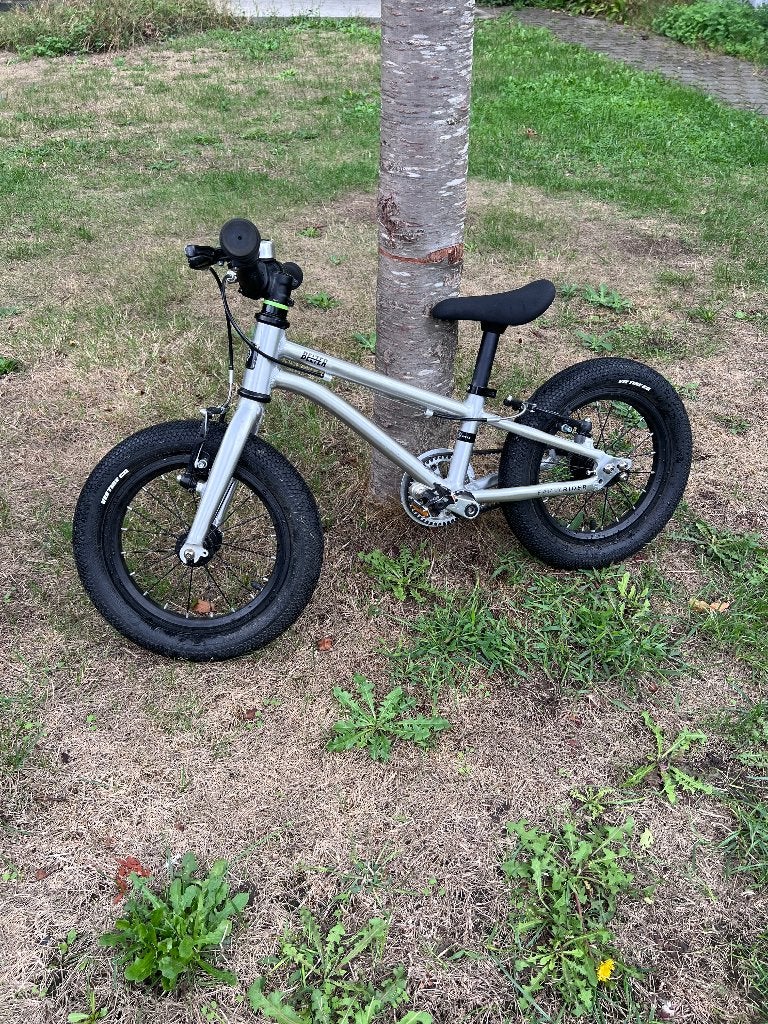 Early Rider Belter 14inch, Ophalen, Velgrem, Early Rider, Minder dan 16 inch