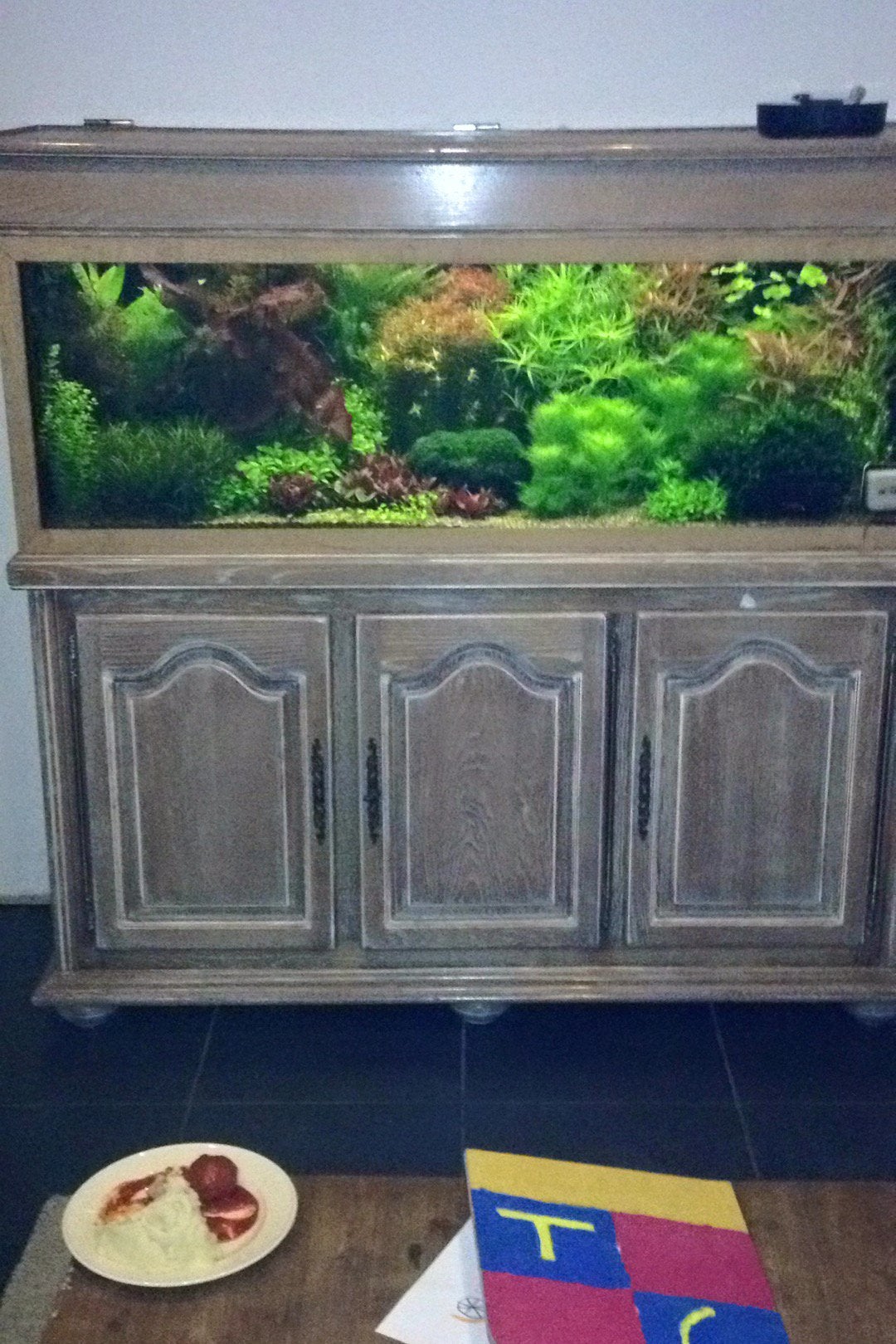 Emmer vol aquariumplanten, Dieren en Toebehoren, Ophalen, Zo goed als nieuw