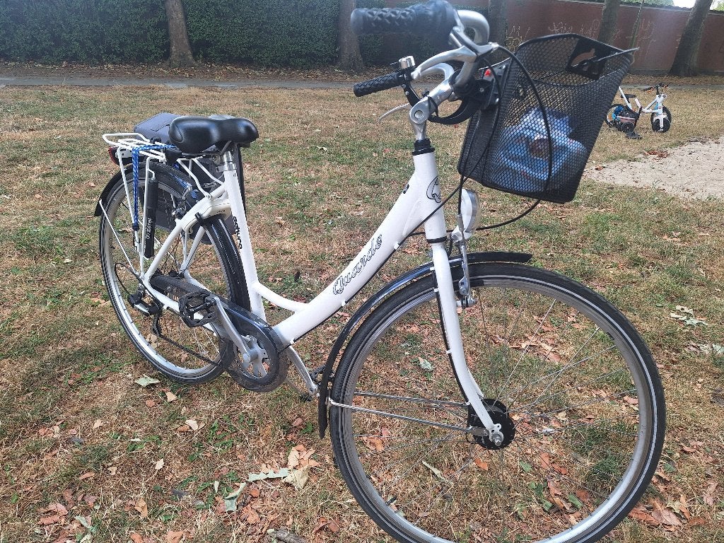 Damesfiets, Fietsen en Brommers, Ophalen, Gebruikt, Velgrem