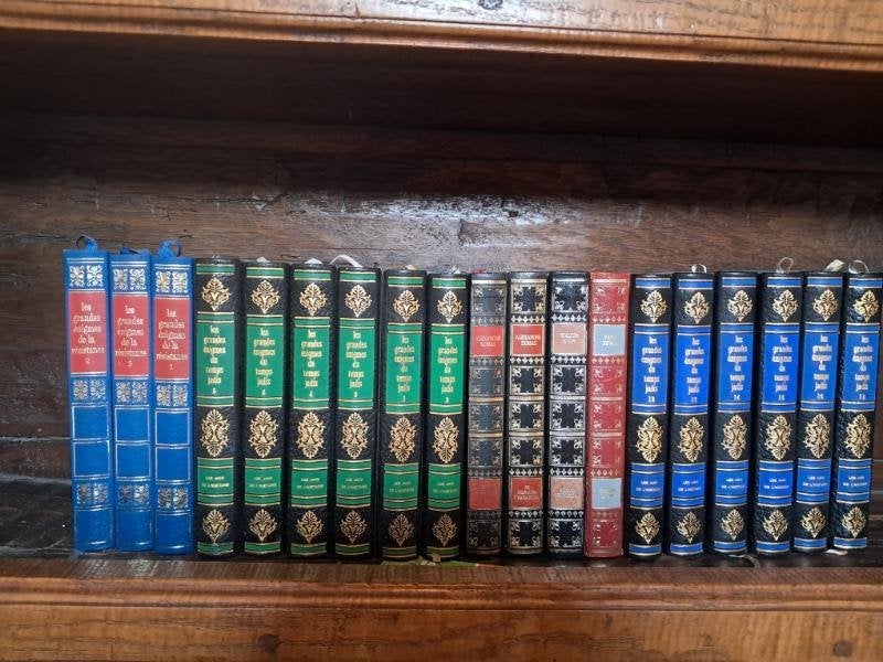 50 antieke Franse boeken: wereldliteratuur in mooie banden, Ophalen, Diverse auteurs