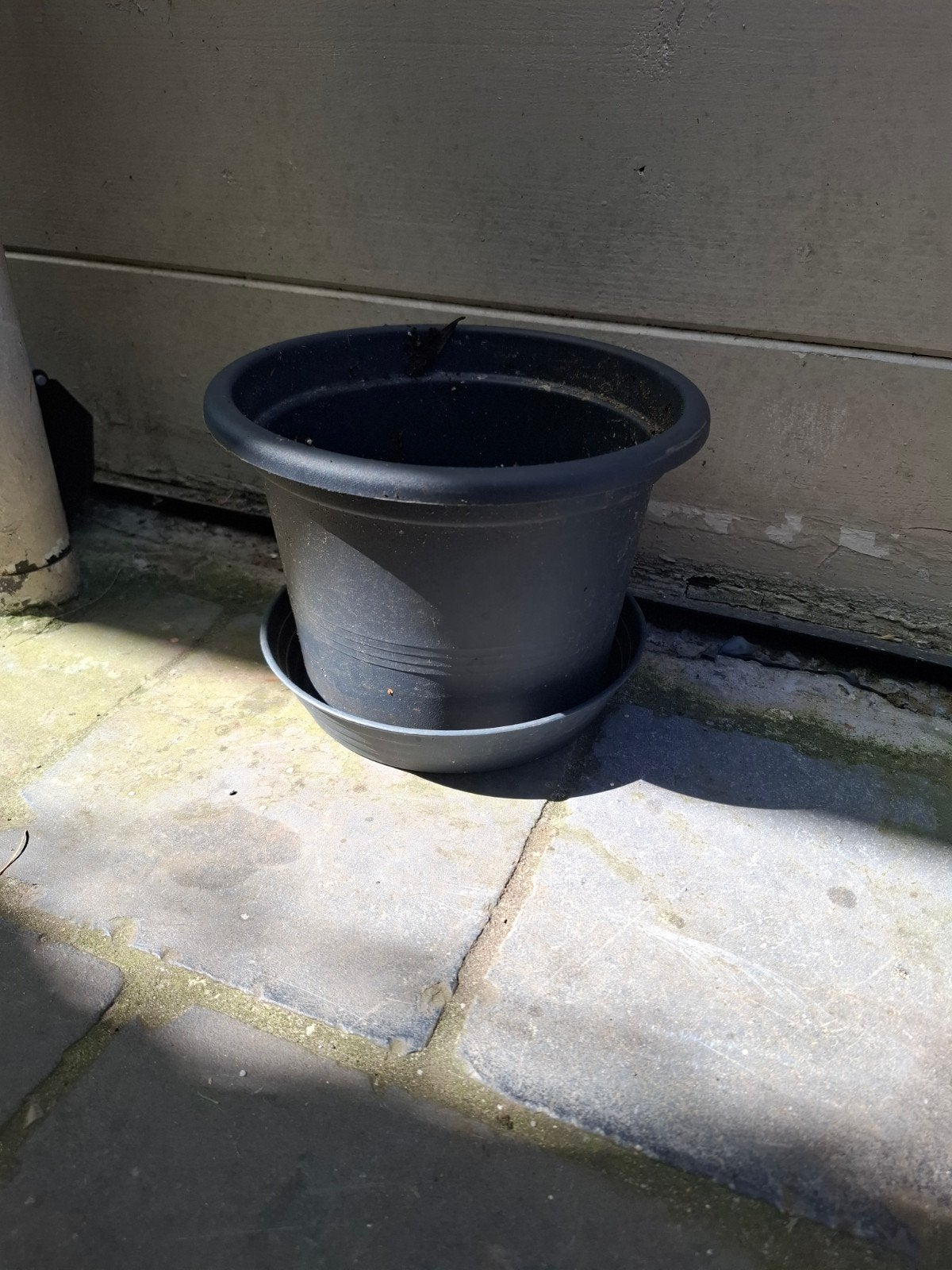 Pot de fleurs gratuit, Enlèvement