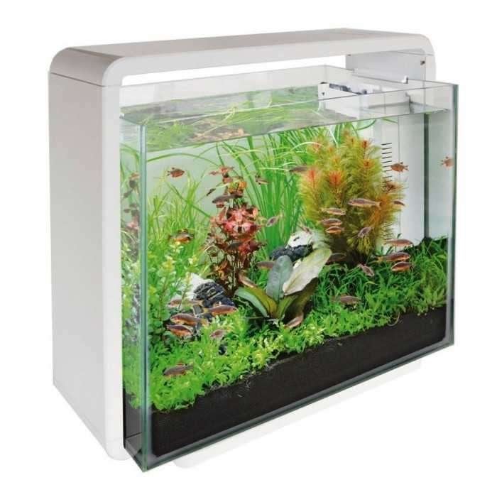 Aquarium, Animaux & Accessoires, Enlèvement ou Envoi, Neuf, Aquarium d'eau douce rempli