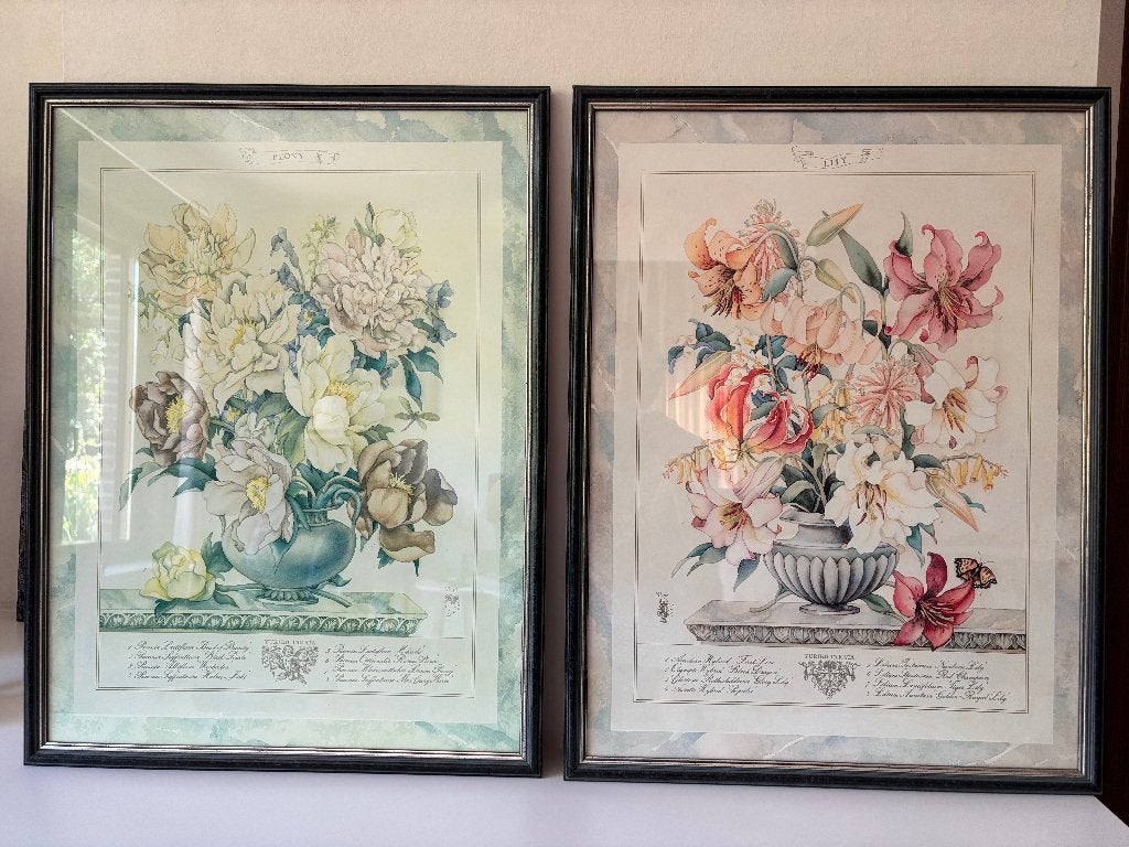 Prachtige set "Yuriko Takata" botanische vintage prints, Papier, Ingelijst, Vintage, Ophalen
