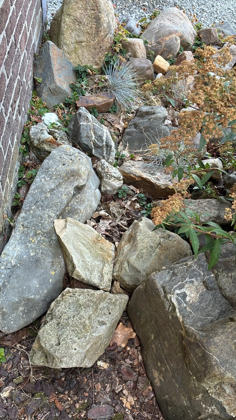 Gratis grote natuurstenen / sierstenen, Tuin en Terras, Ophalen, Gebruikt, Overige typen