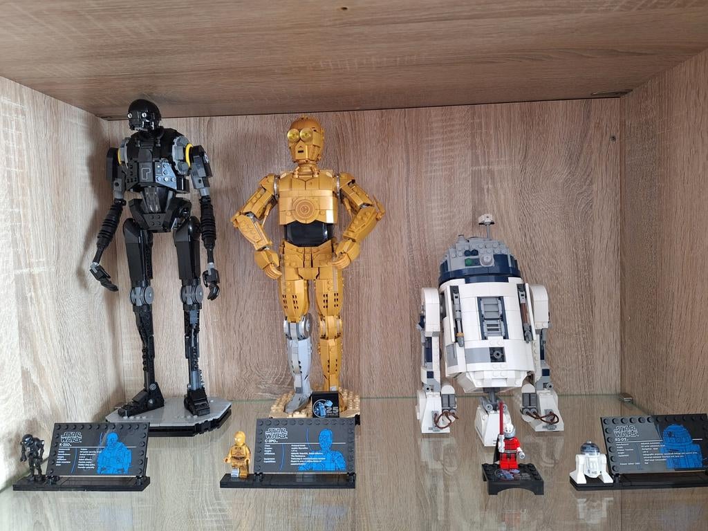 LEGO C3PO, K2SO, R2D2, Enlèvement