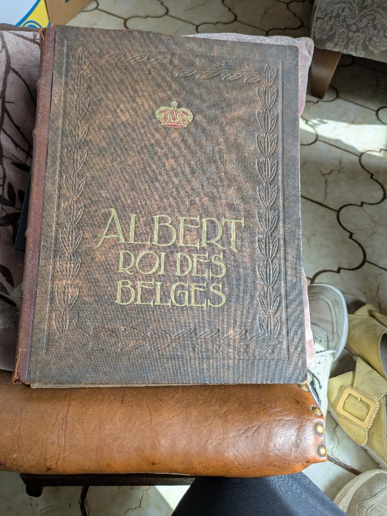 Albert Roi des Belges, Verzamelen, Ophalen of Verzenden, Zo goed als nieuw, Tijdschrift of Boek
