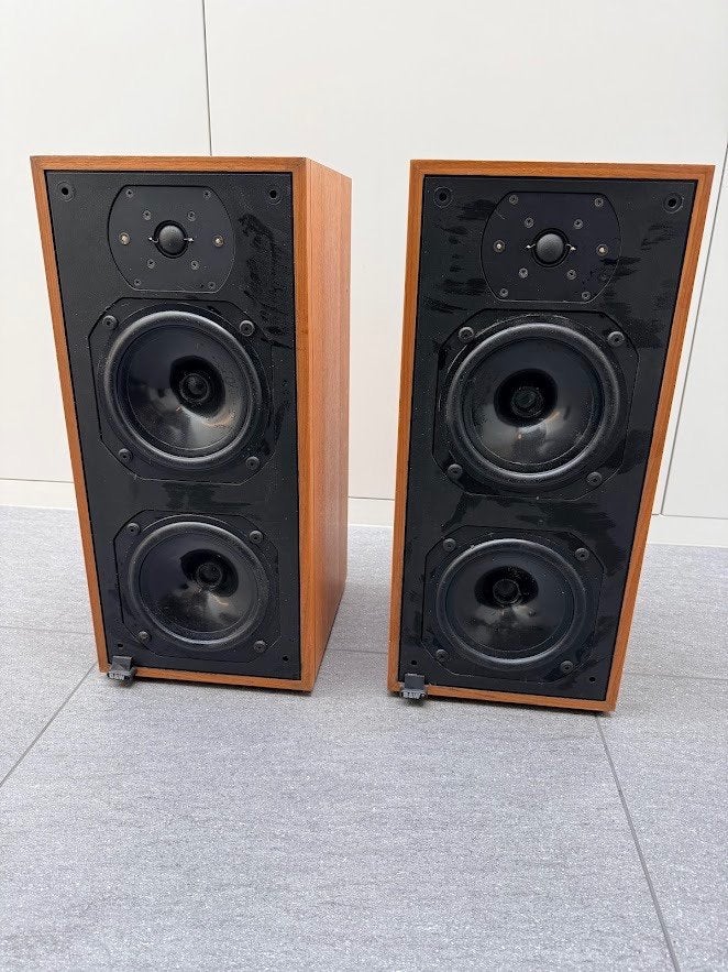 Twee klankkasten B&W DM14  250 watt ieder, Audio, Tv en Foto, Stereo speakers, Gebruikt, Bowers & Wilkins (B&W), Ophalen