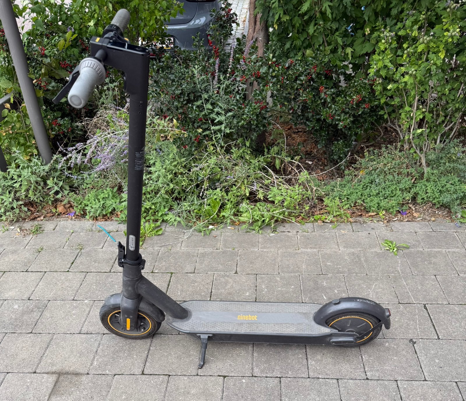 Segway Ninebot G30 Max, Ophalen, Zo goed als nieuw, Elektrische step (E-scooter)