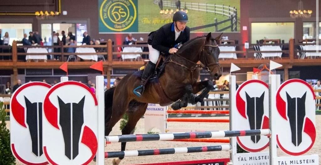 opzoek naar een springpaard, Dieren en Toebehoren, Paarden, Springpaard