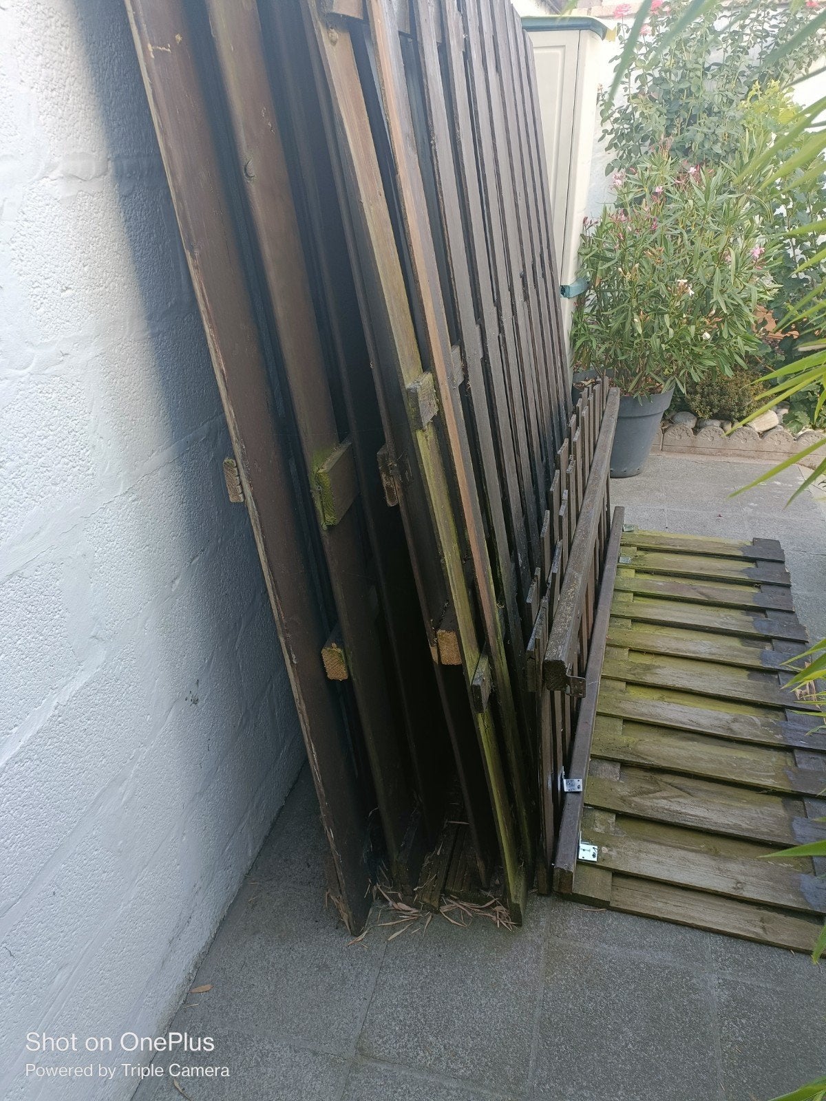 Meranti houten omheiningen, Ophalen, Hout