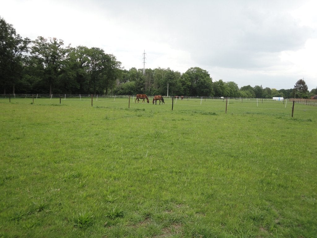 stalling met weidegang