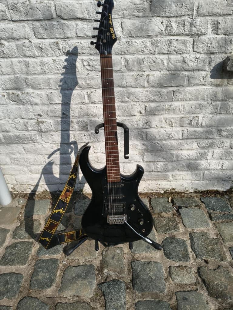 Aria The cat pro 2, Musique & Instruments, Enlèvement, Fender