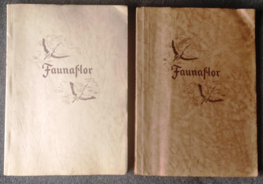 Faunaflor - Faunaflor II en Faunaflor Congo, Enlèvement ou Envoi